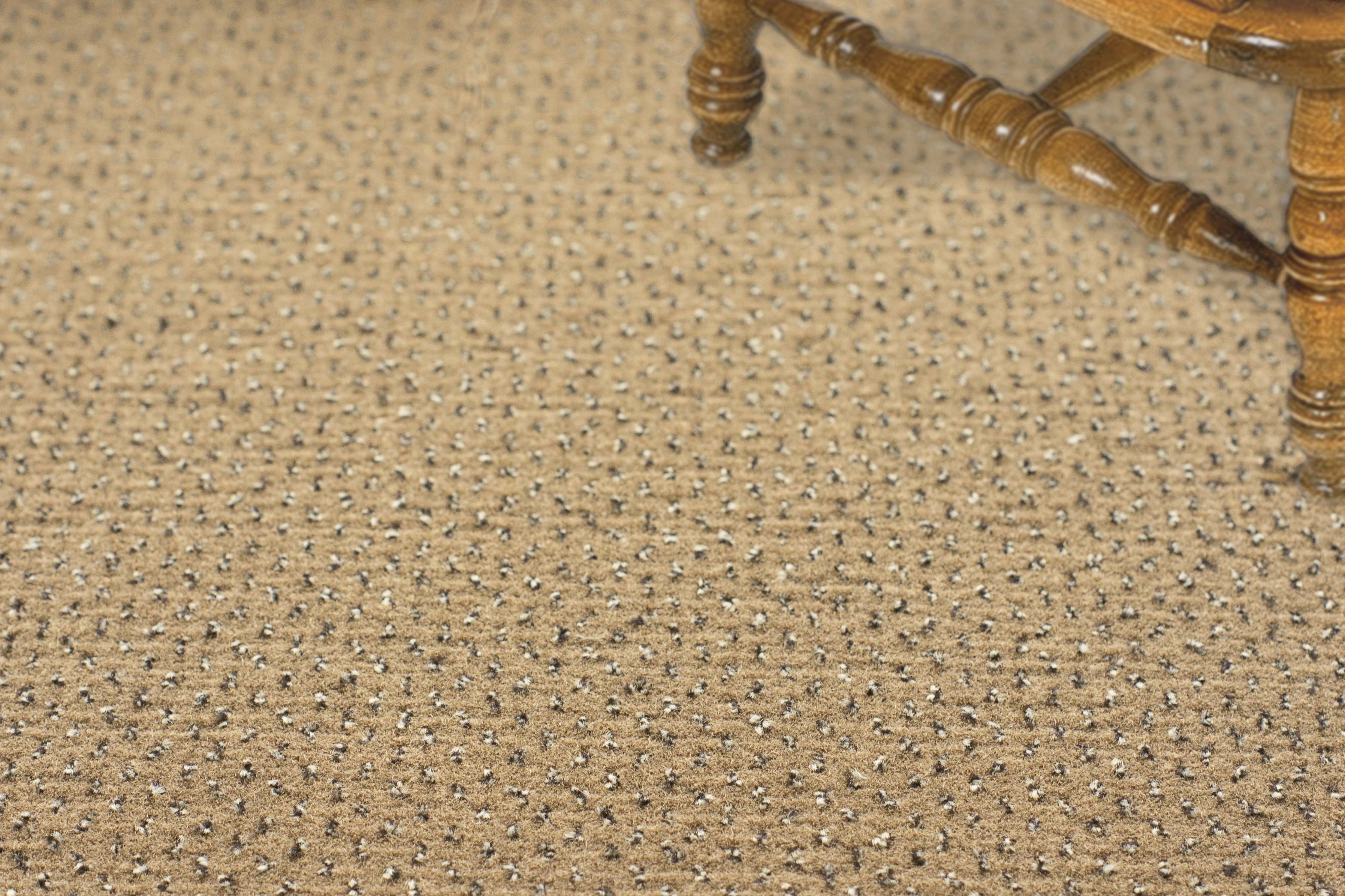 Ковролин "Зартекс" Eternity 142 бежевый (4м) — купить в Липецке